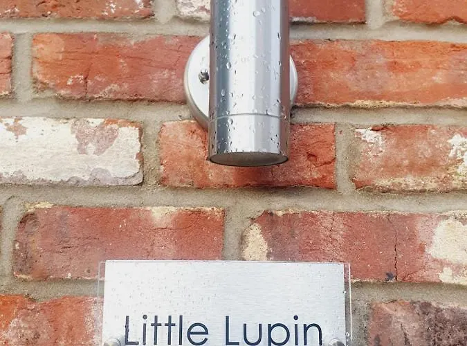 Little Lupin